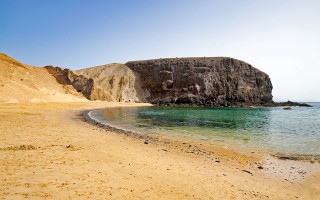 Canaries - Lanzarote